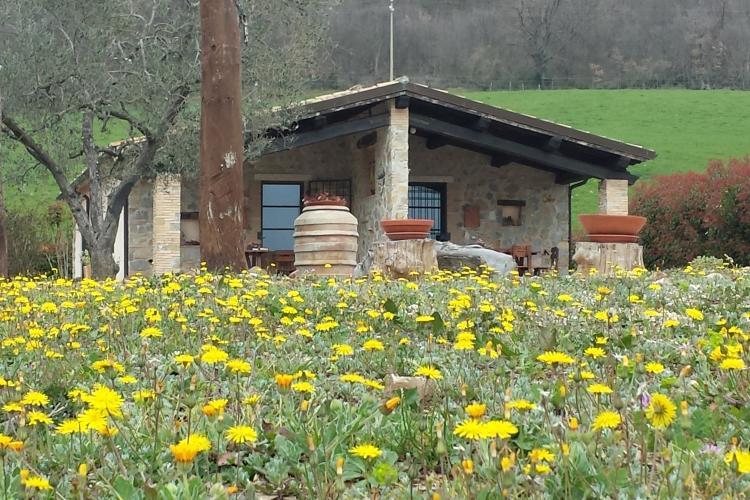 Poggio Al Vento Villa Manciano Exterior photo